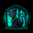 Guises of Dracula Cat